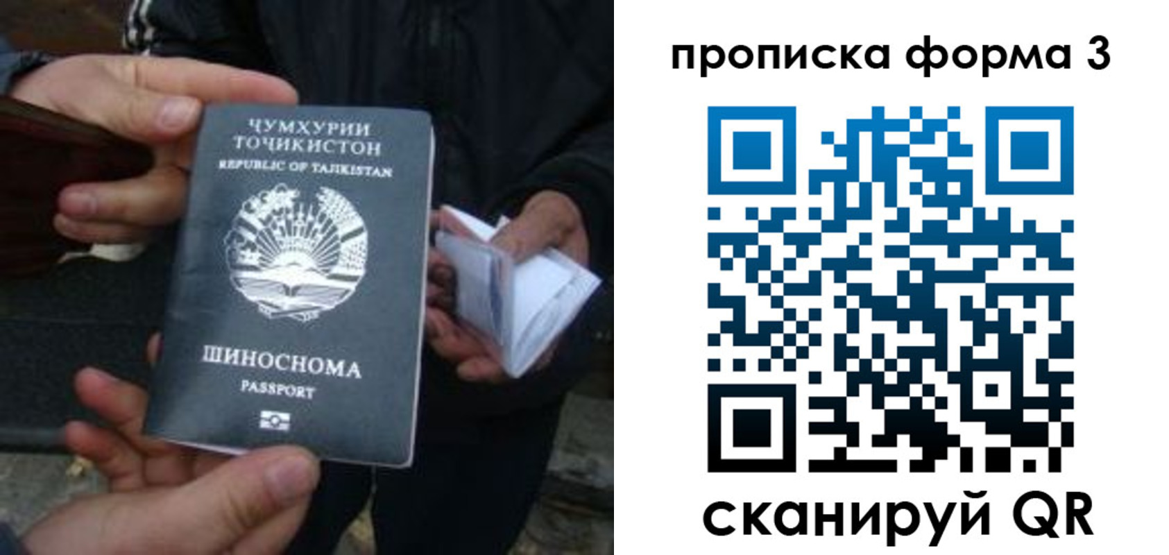 прописка 2025 в Большом Камне